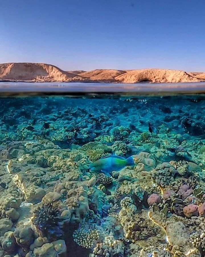 EL Hurghada