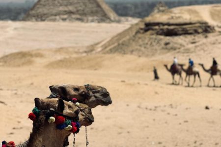 Camel Or Horse Riding At The Giza Pyramids Area