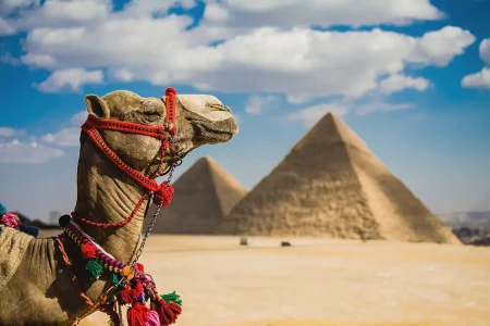 Day in Cairo: Pyramids, Sphinx, Citadel, Egyptian Museum.