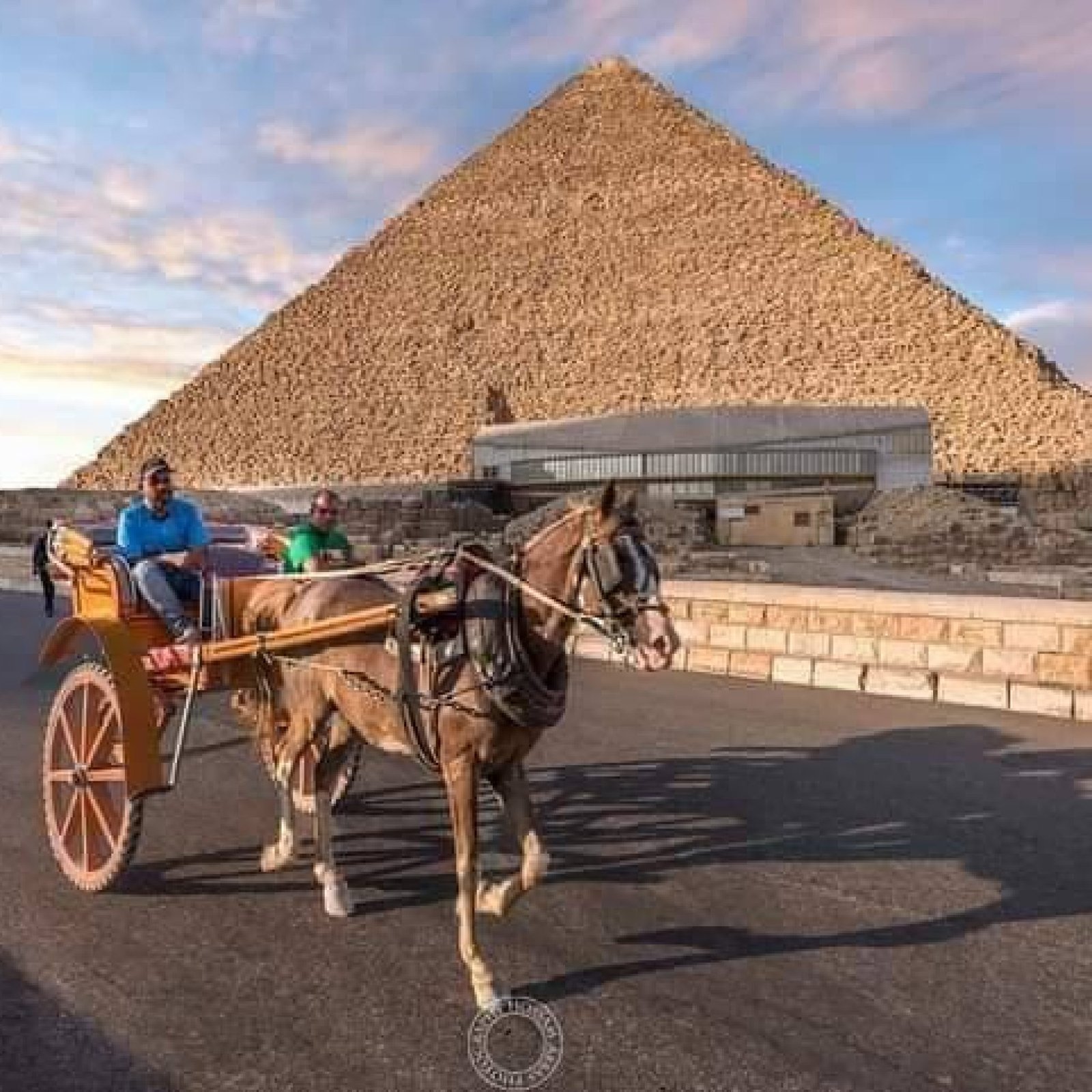 photo_2025-05-01_15-25-21