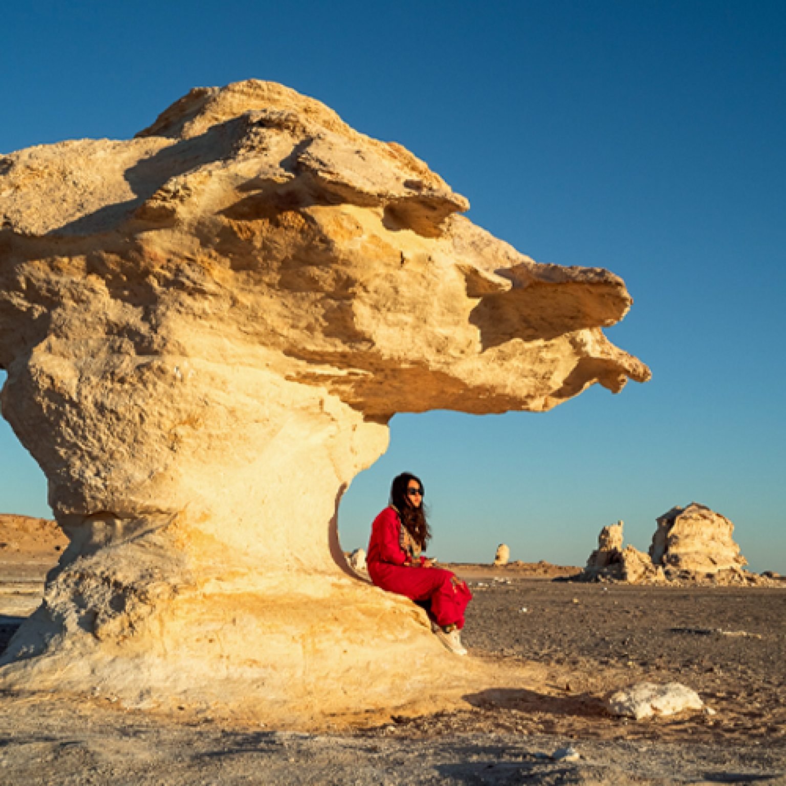 A-picture-of-a-visitor-from-the-White-Desert