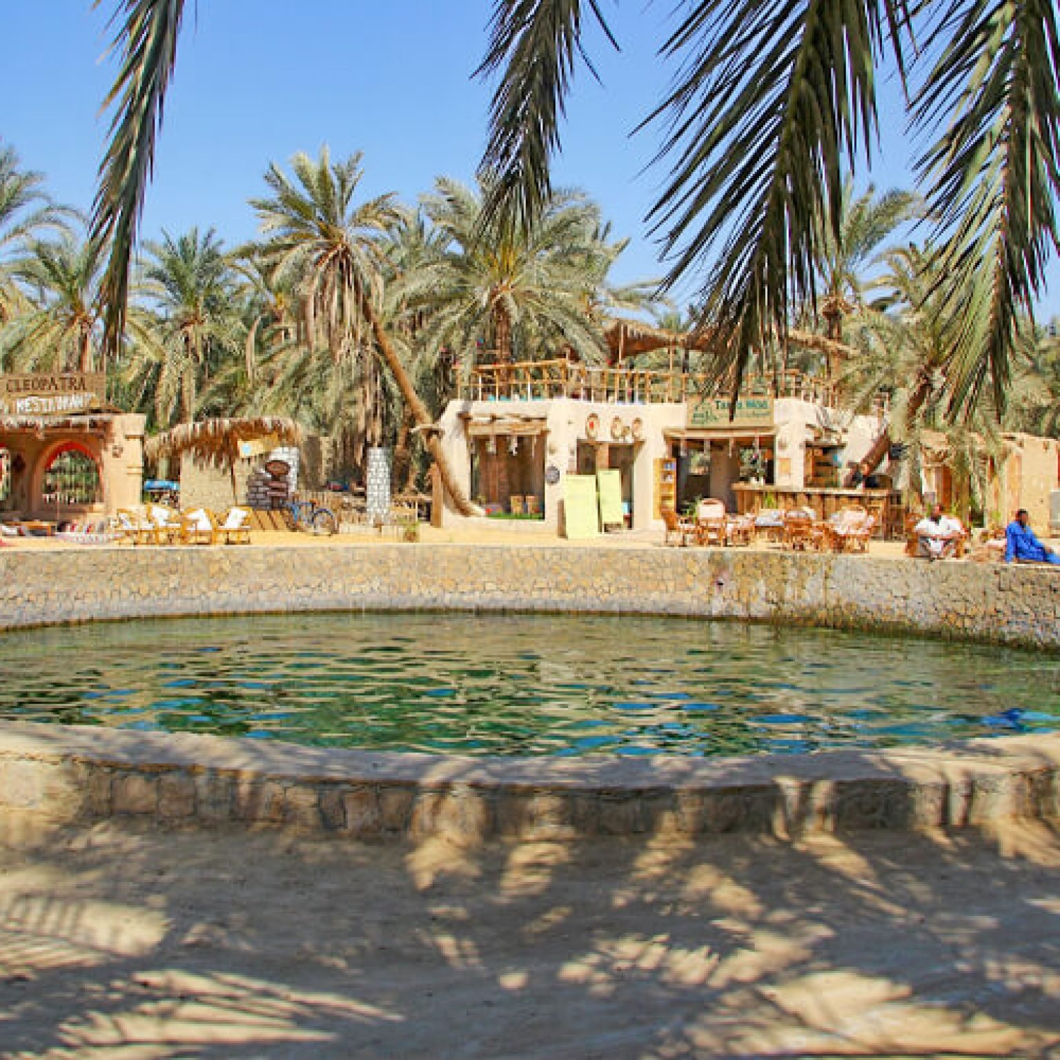 Siwa-Oasis-2