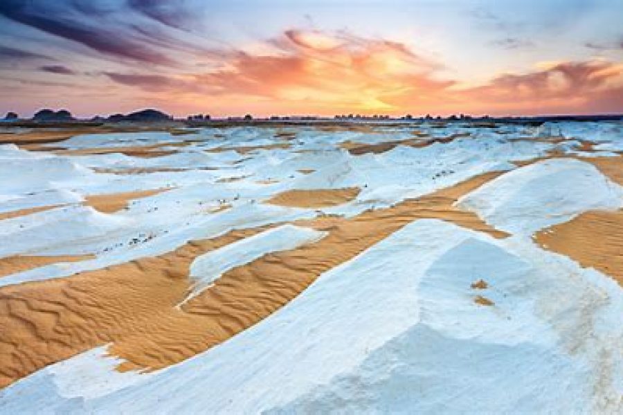 Fayoum Oasis &  Day Tour From Cairo