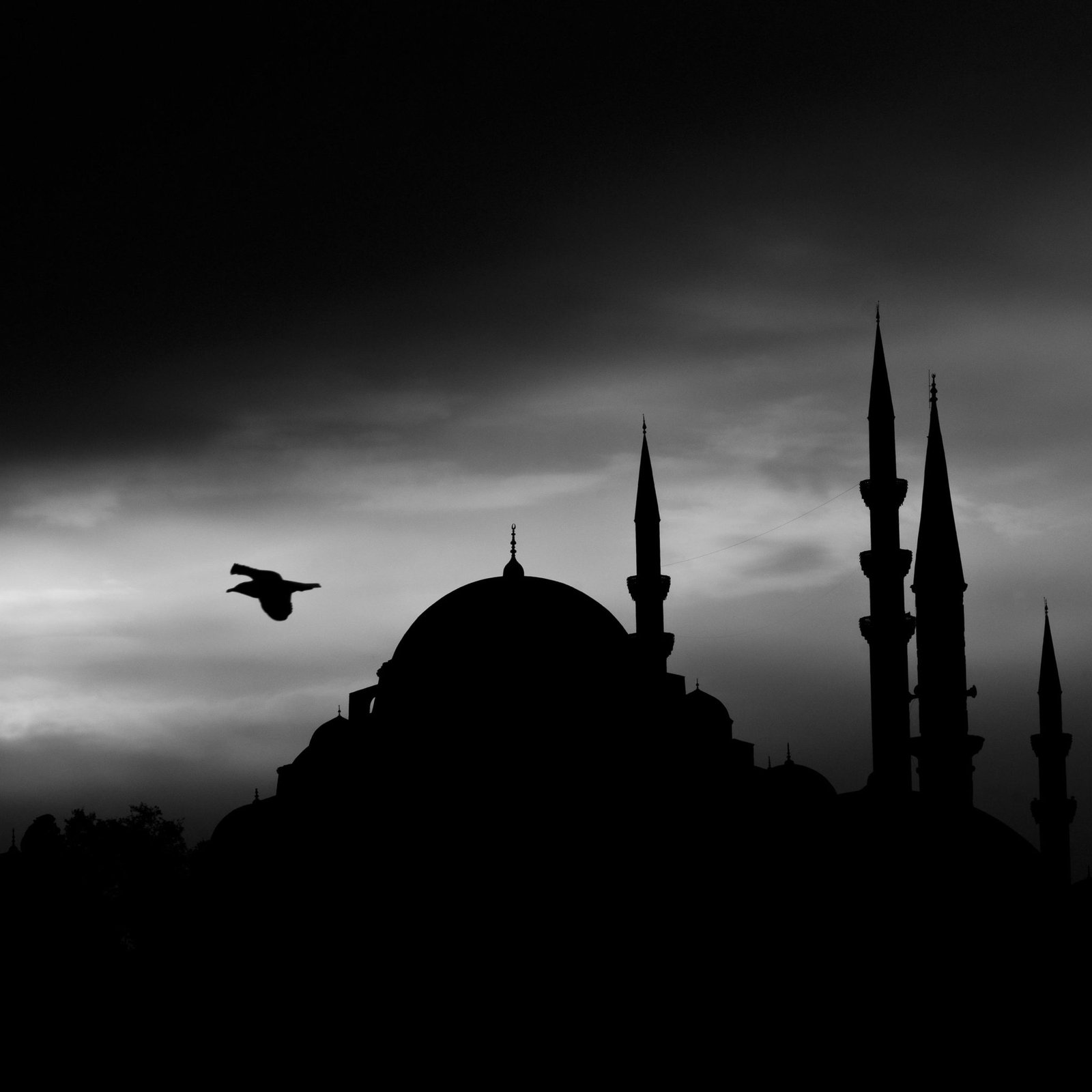 A black and white photo of a mosque silhouette with a bird flying during twilight.