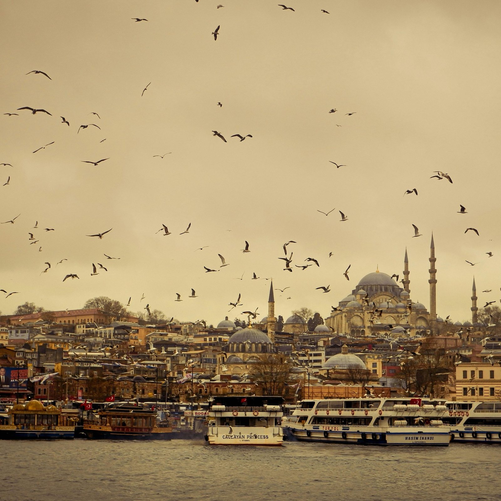 Dramatic silhouette of Istanbul's skyline with mosques and boats on the water, under a flock of birds.