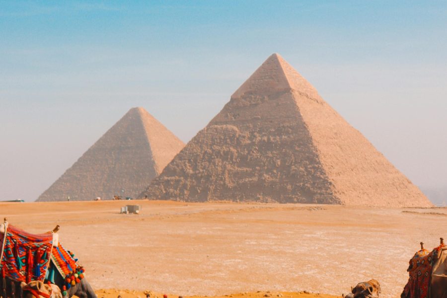 Colorful camels resting in front of the iconic Pyramids of Giza under a clear blue sky.