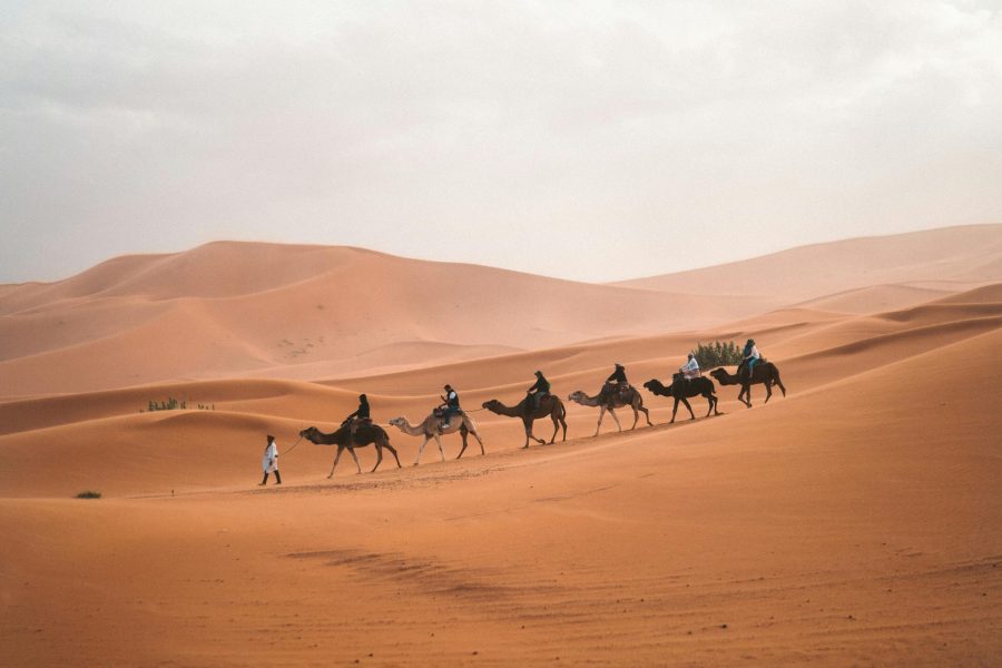A camel caravan traverses the vast sand dunes of Al Wahat Al Dakhla Desert under a blue sky.