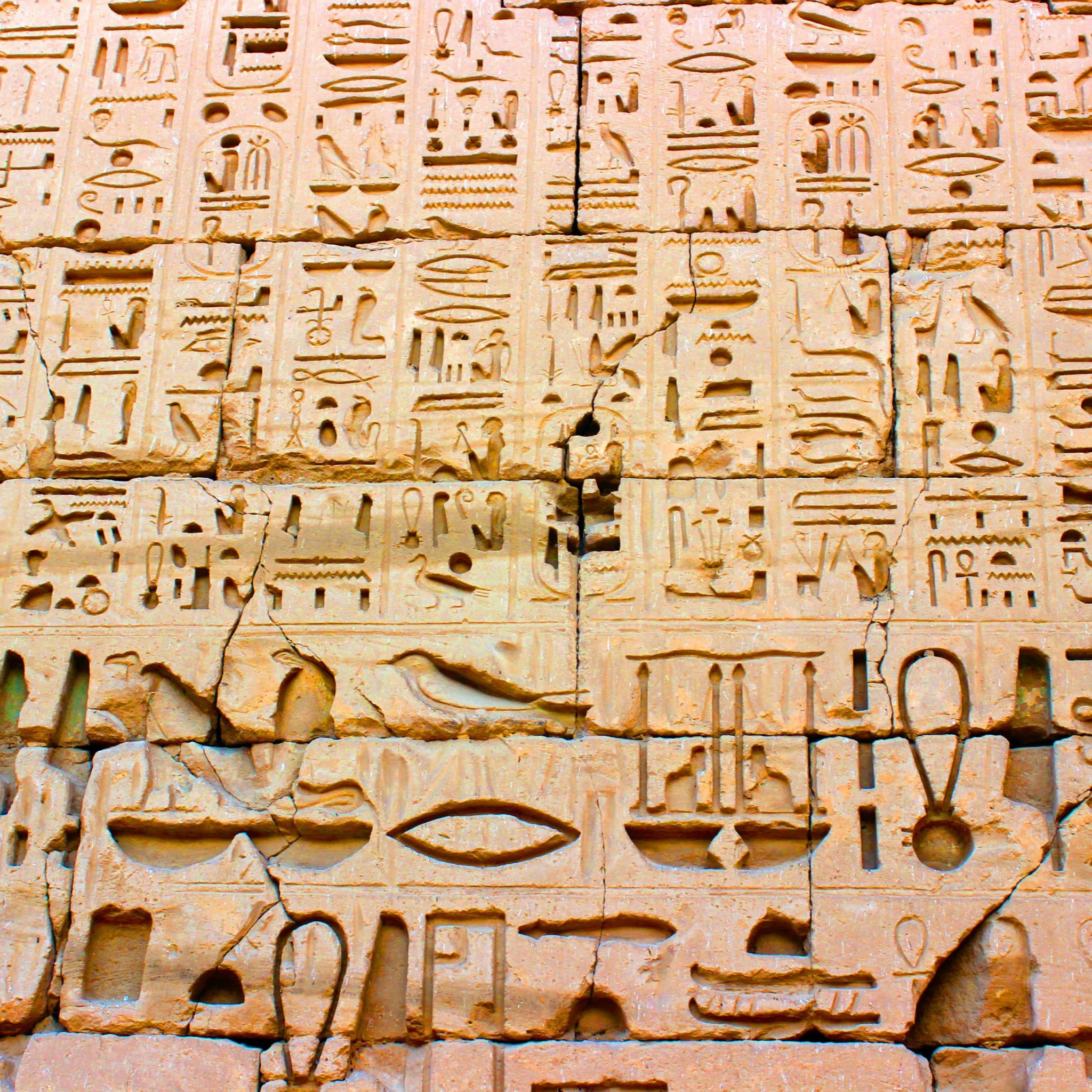 Detailed transfervings of ancient Egyptian hieroglyphs on stone walls at Edfu Temple.