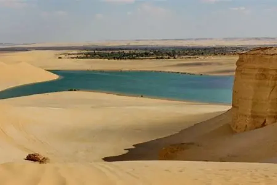Fayoum Oasis &  Day Tour From Cairo